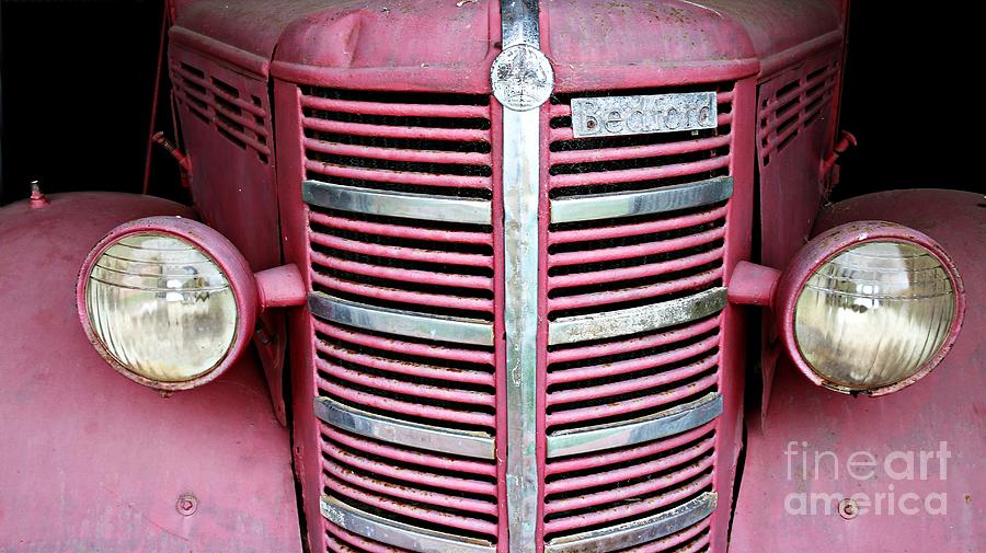 Old Red by Stephen Mitchell Old Red by Stephen Mitchell