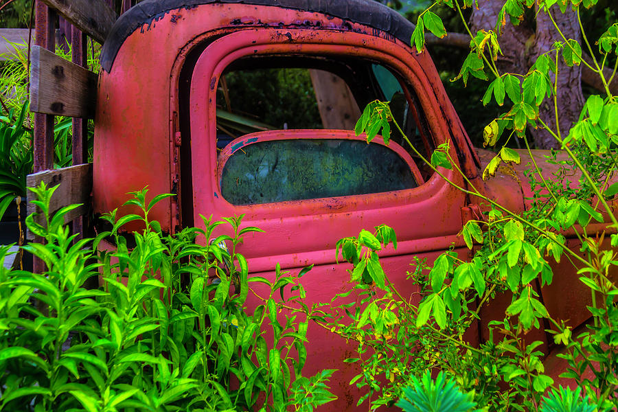 Old Red Truck In The Garden Photograph by Garry Gay