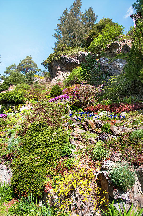Old Rock Alpine Garden At Pruhonice Park 1 Photograph by Jenny Rainbow