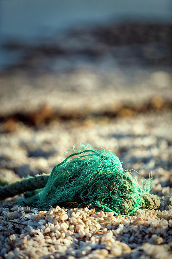 Old Rope by the beach Photograph by Mike Santis