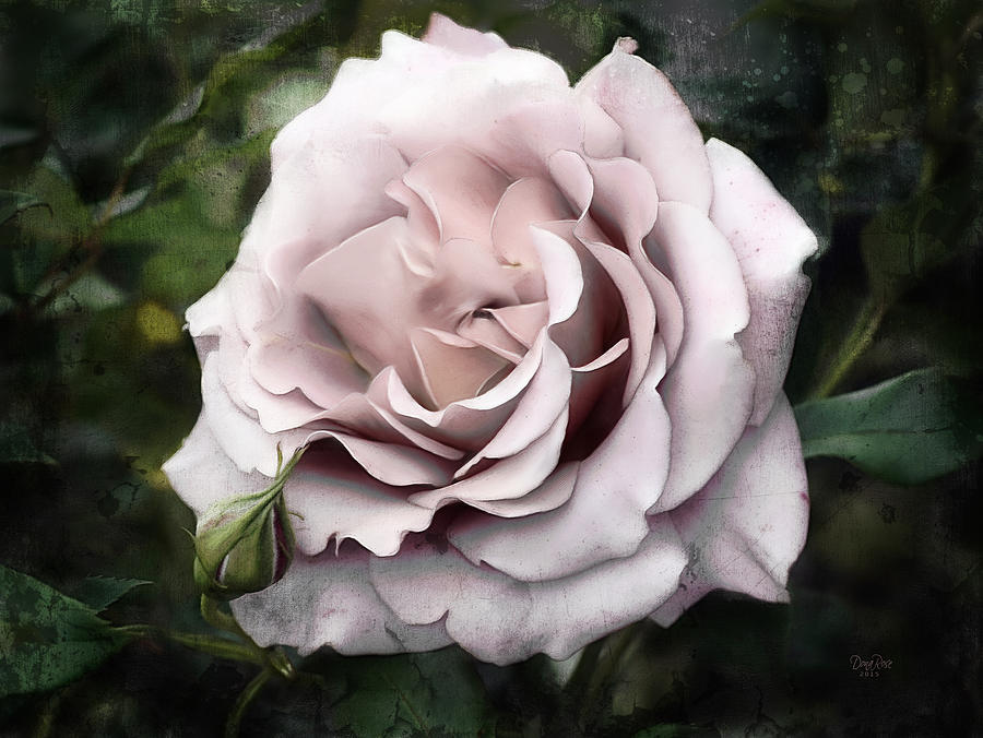 Old Rose Painting by DonaRose - Fine Art America