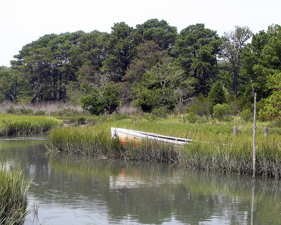 Old Rowboat Photograph by George Jones