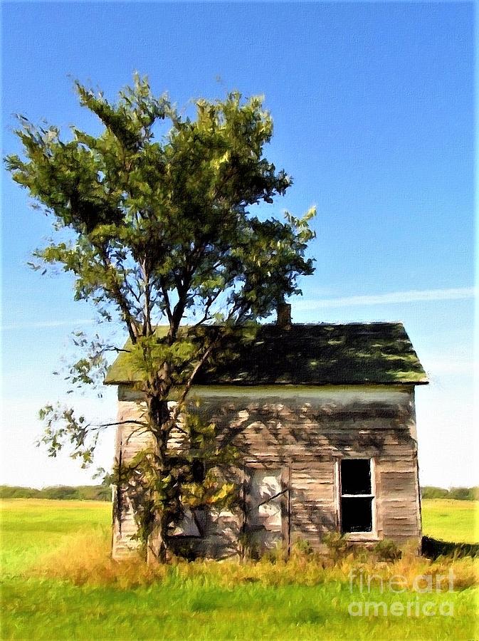 Old Rural North Dakota Homestead Photograph by Delynn Addams