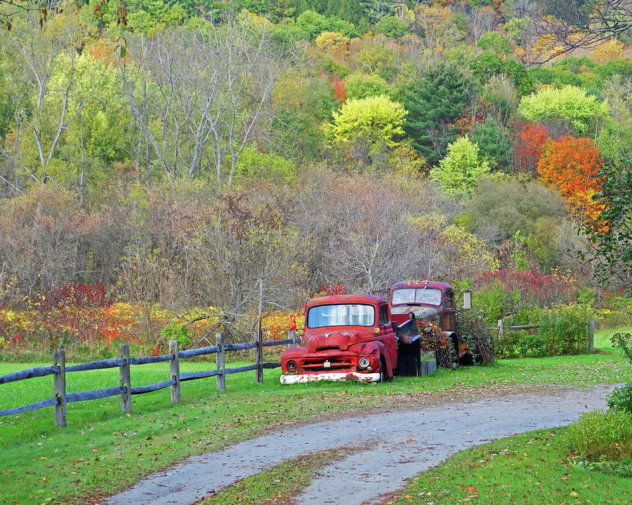 Old Rusted Trucks Bethel Vermont VT New England Foliage Aurumn Trees Photograph by Toby McGuire