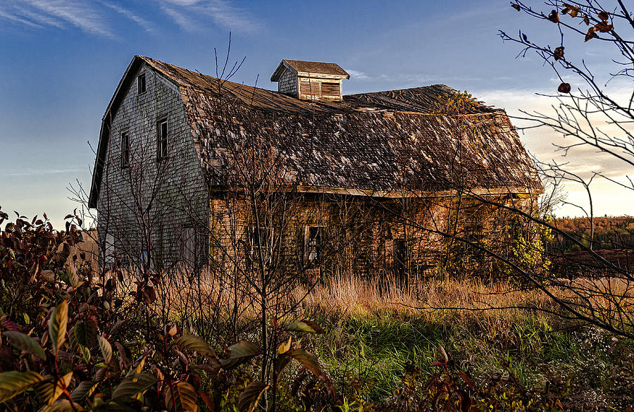 Old Rustic Barn Photograph by Marty Saccone