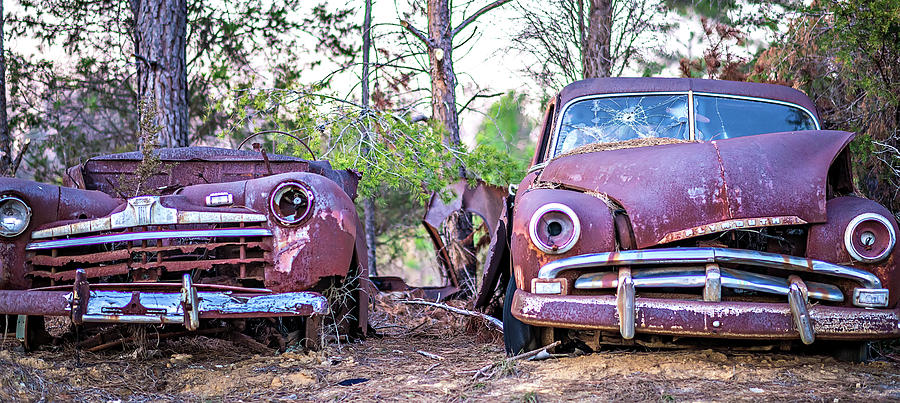 Old Rusty Abandoned Automobile In The Woods Photograph by Alex Grichenko