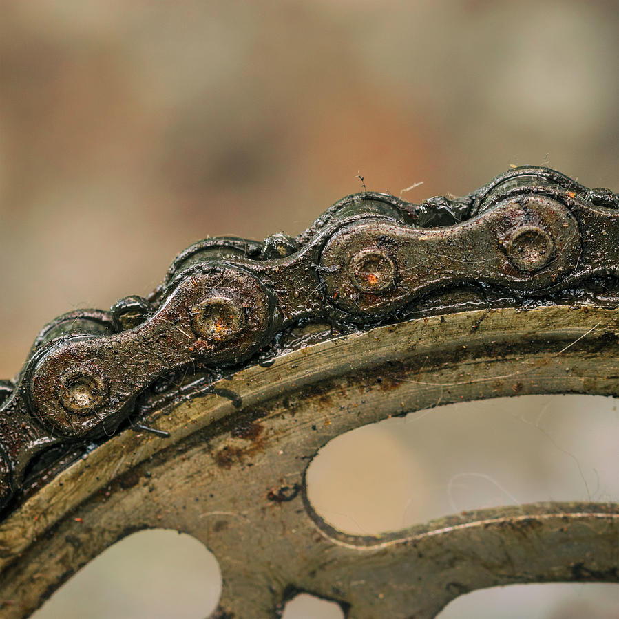 Old Rusty Chain From The Bicycle Closeup Photograph