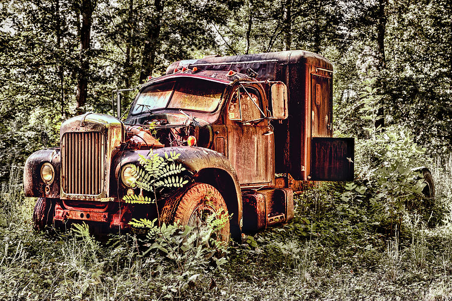 Old Rusty Truck in the Woods - Jocassee Photograph by Dan Carmichael