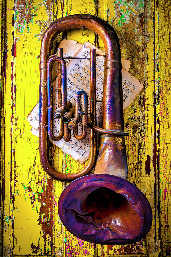 Music Photograph - Old Rusty Tuba Still Life by Garry Gay