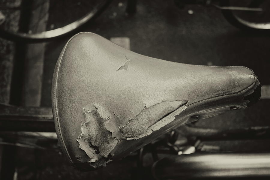 Old Saddle Of Bike Photograph