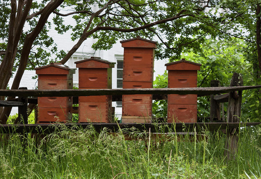 Old Salem Bee Hives - Winston Salem Series Photograph by Suzanne Gaff