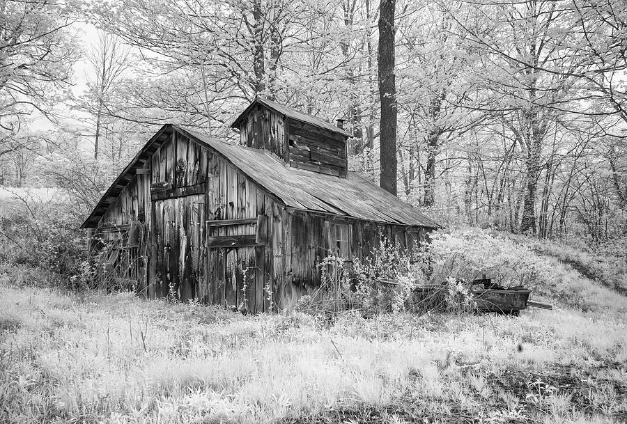 Old Sap House in Infrared Photograph by Gordon Ripley