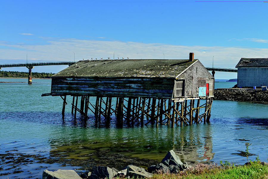 Old Sardine Shack in Lubec, Maine Photograph by Marilyn Burton