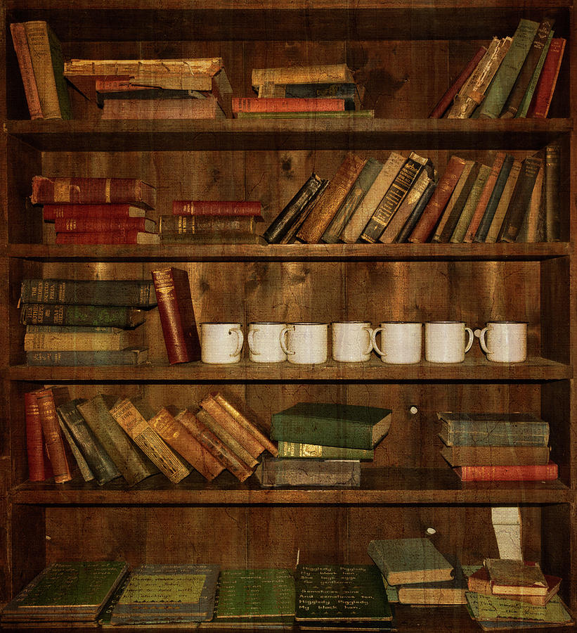 Old School Bookcase 2 Photograph by Roy Pedersen