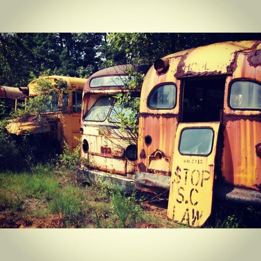 Junkyard Photograph - Old School Buses At The Junkyard by Christy Crowe