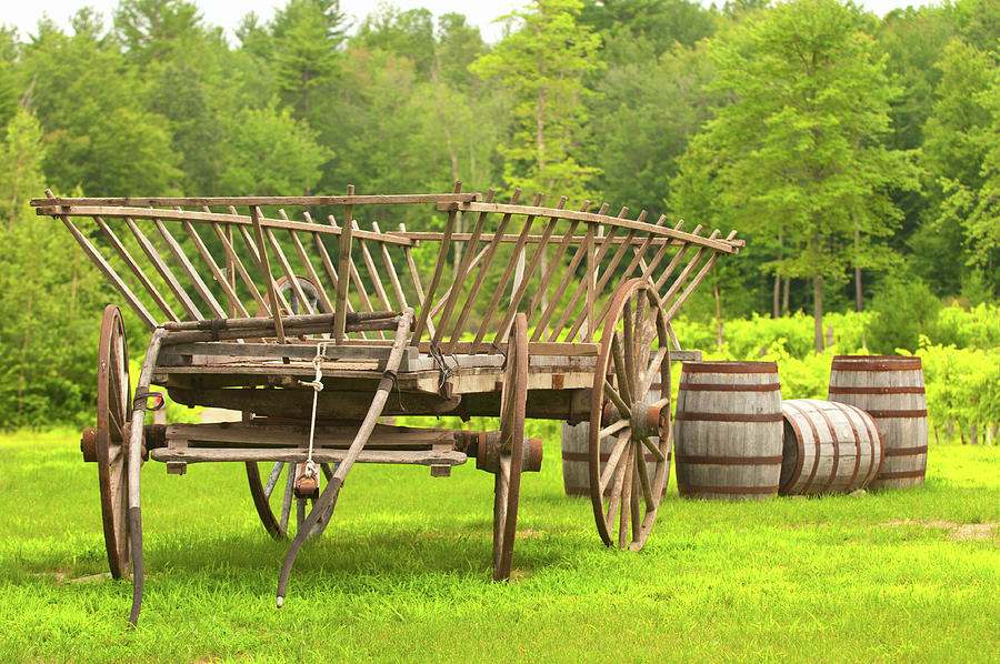 Old School Wine Cart Photograph by Paul Mangold