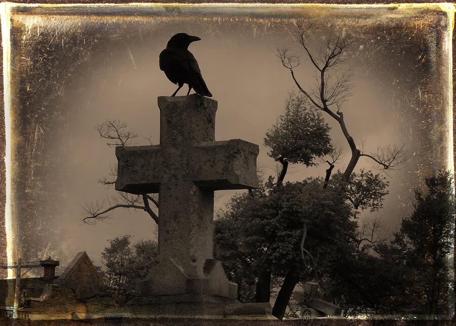 Old Sepia Graveyard Crow Photograph by Gothicrow Images - Fine Art America