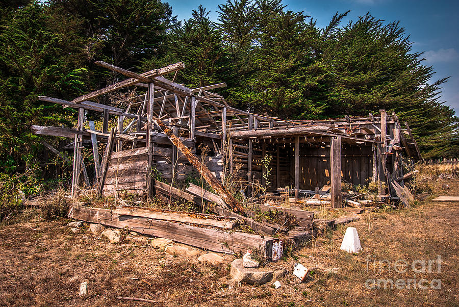 Old Shack in Cambria Pines Photograph by Blake Webster