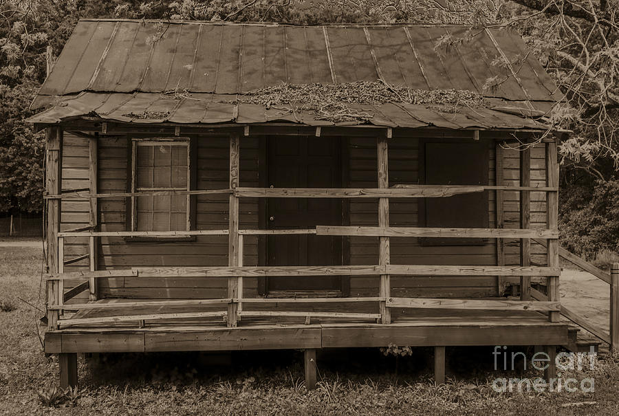Old Shack In Sepia Photograph
