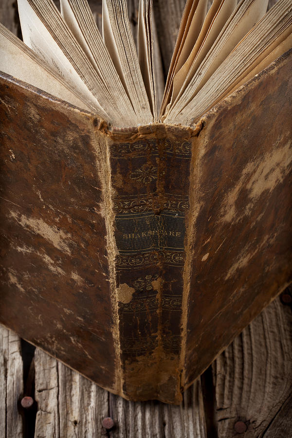 Old Shakespeare Book Photograph by Garry Gay