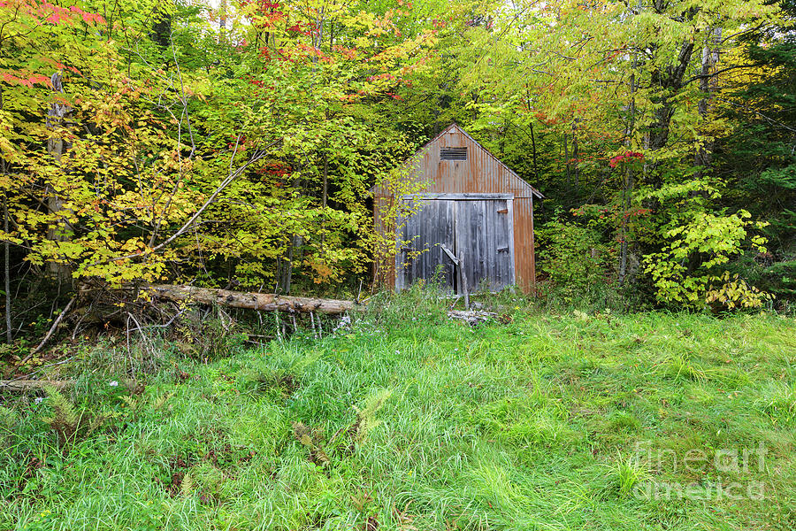 Nature Photograph - Old Shed - Carroll, New Hampshire by Erin Paul Donovan