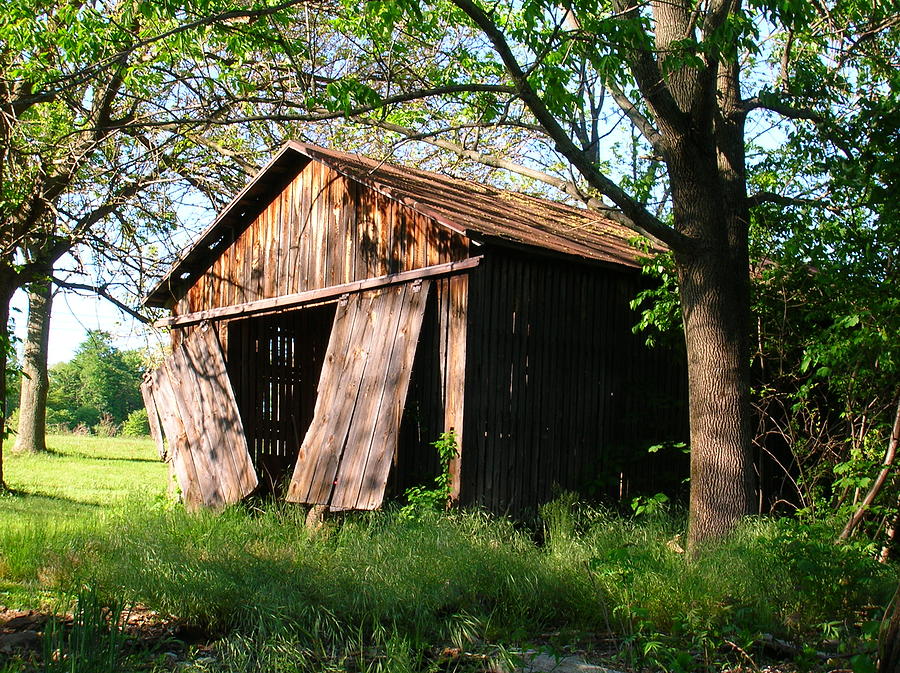 Old Shed Photograph by George Jones