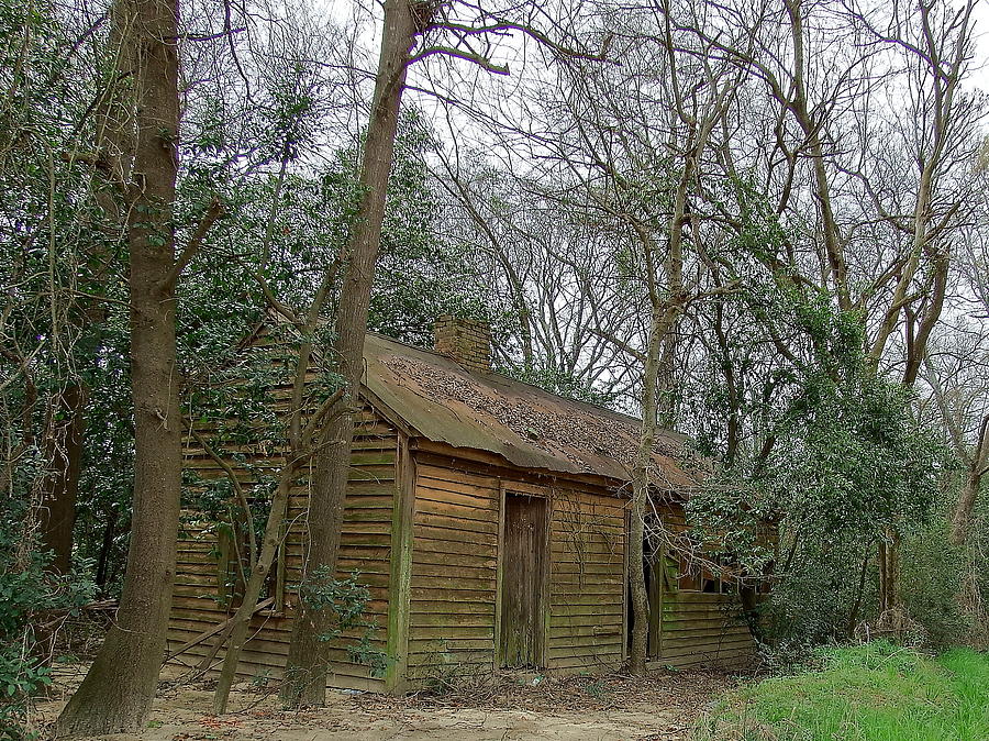 Tree Photograph - old Shed in the Winter by Cathy Harper