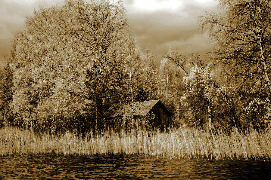 Old Shed Photograph by Jarmo Honkanen