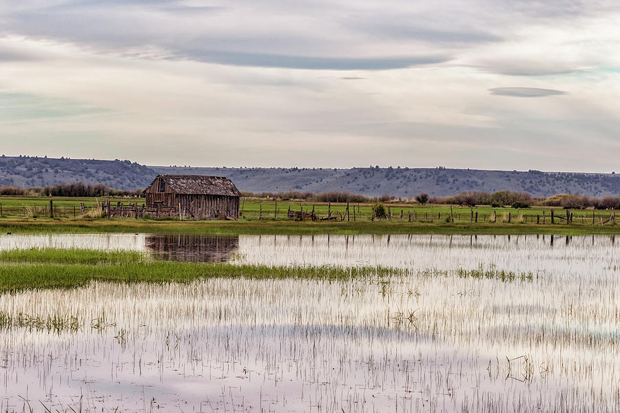 Old Shed on Marsh Photograph by Belinda Greb