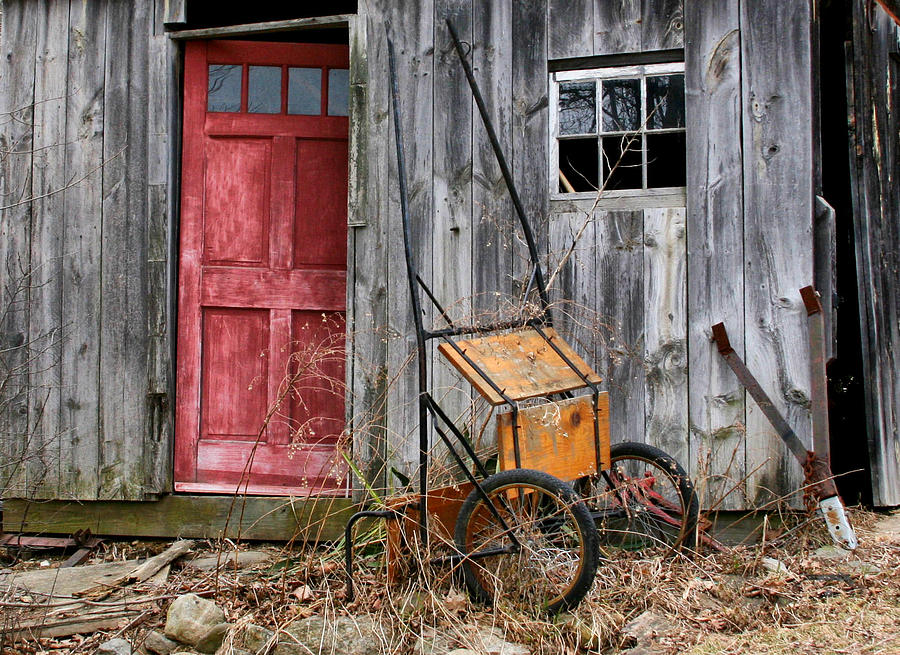 Old Shed Red Door and Pony Cart Photograph by Betty  Pauwels 