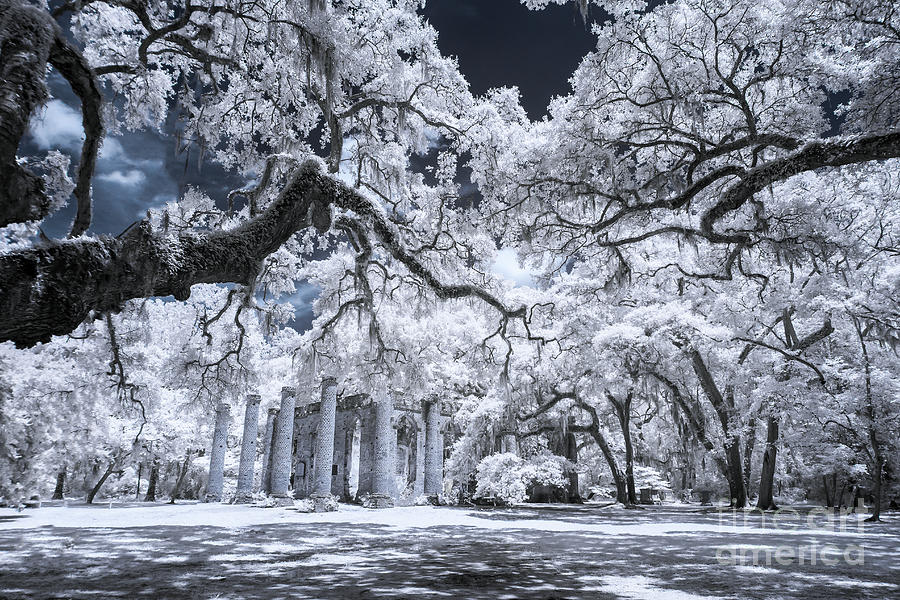 Beaufort Photograph - Old Sheldon Church In Infrared by Charles Hite Beaufort Photograph - Old Sheldon Church In Infrared by Charles Hite