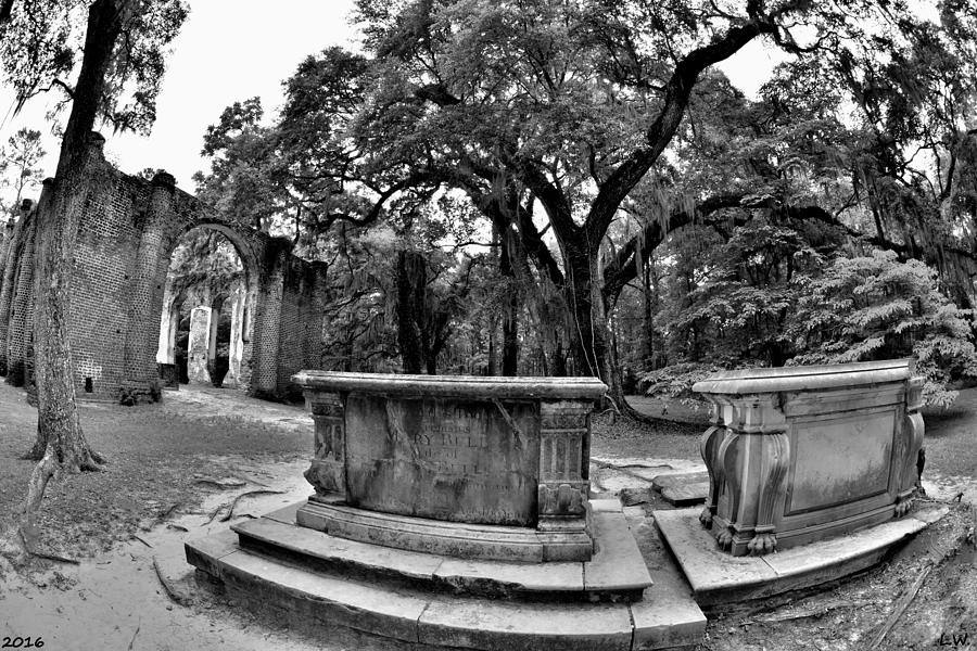 Old Sheldon Church Ruins Beaufort SC Black And White Photograph by Lisa Wooten