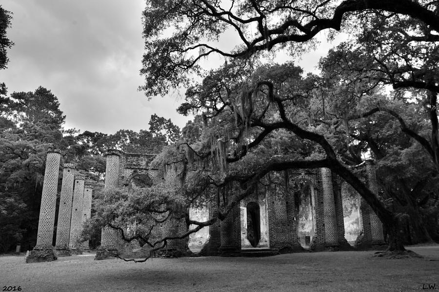 Old Sheldon Church Ruins Black And White 3 Photograph by Lisa Wooten