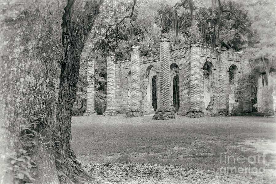 Old Sheldon Church Ruins Photograph by Dawna Moore Photography