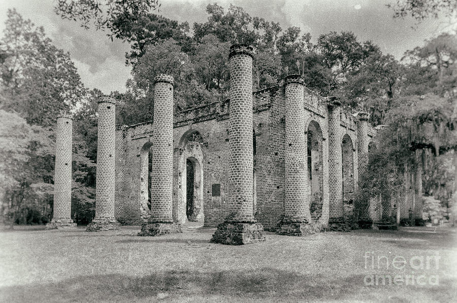 Old Sheldon Church Ruins, South Carolina Photograph by Dawna Moore Photography