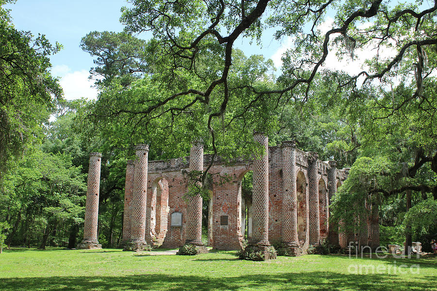 Old Sheldon Church Ruins with Columns Photograph by Carol Groenen