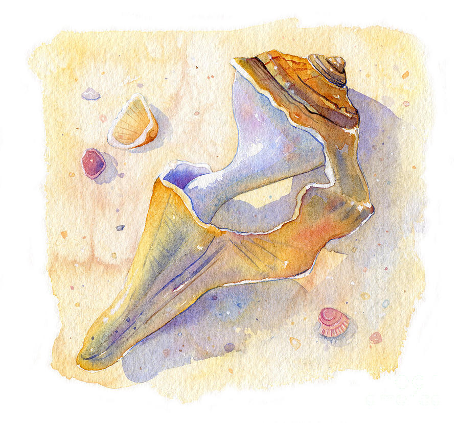 Old Shell Painting