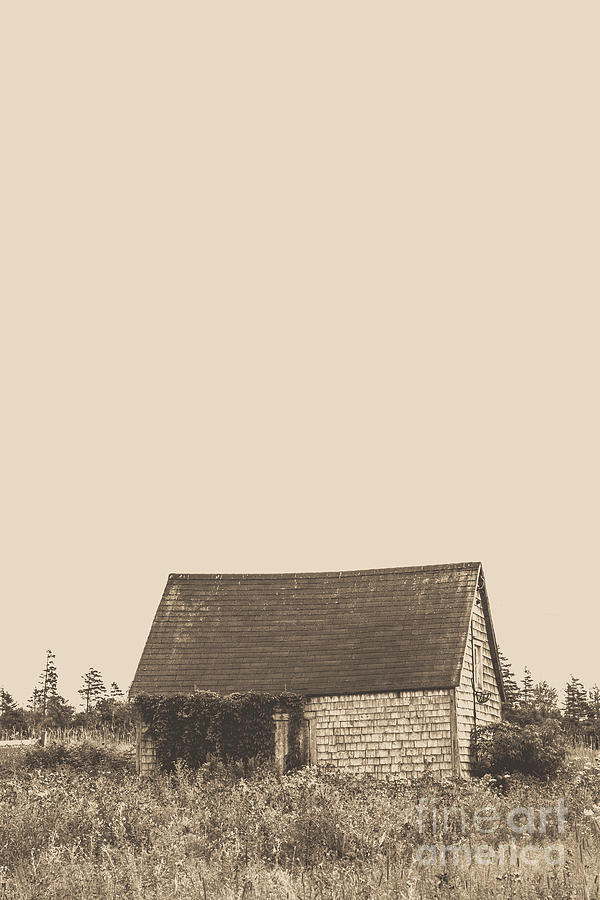 Old Shingled Farm Shack Photograph by Edward Fielding