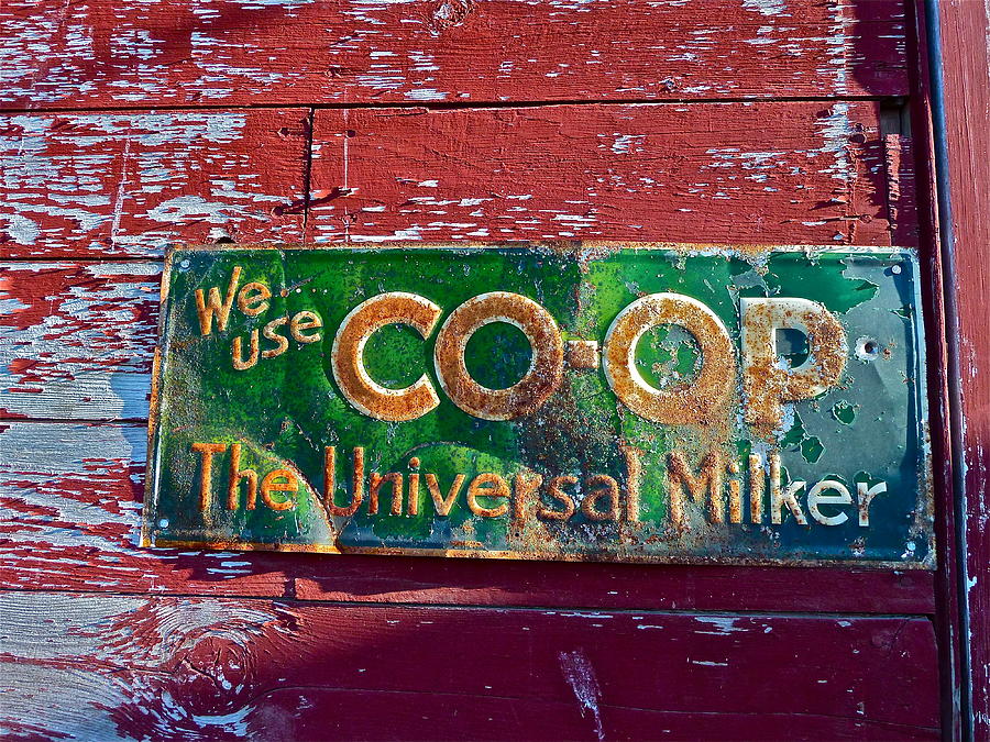 Old Sign Photograph by Diana Hatcher