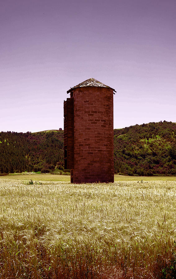 Old Silo in a wheat field Photograph by Jeff Swan