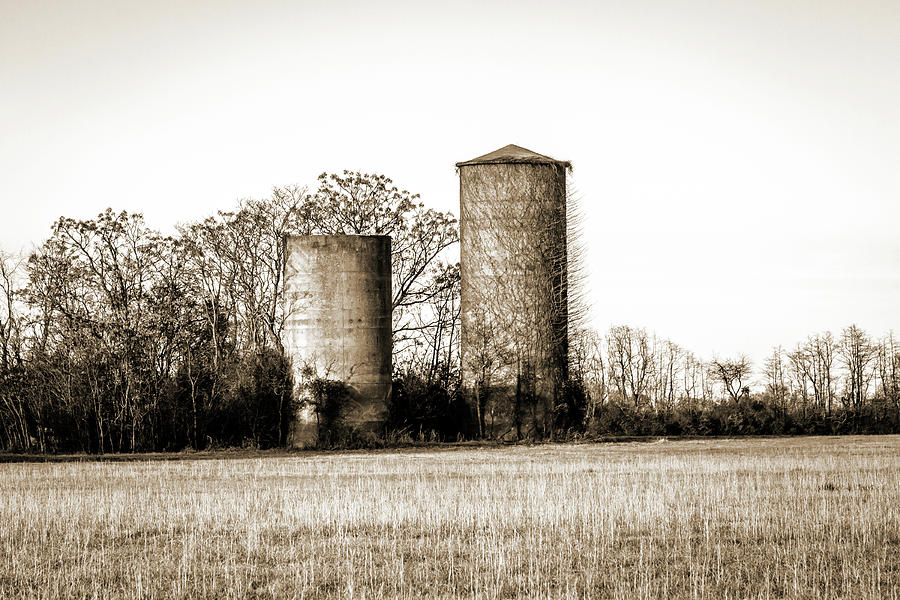 Old Silos Photograph by Barry Jones