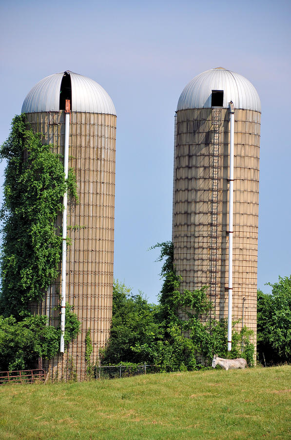 Old Silos Photograph by Jan Amiss Photography