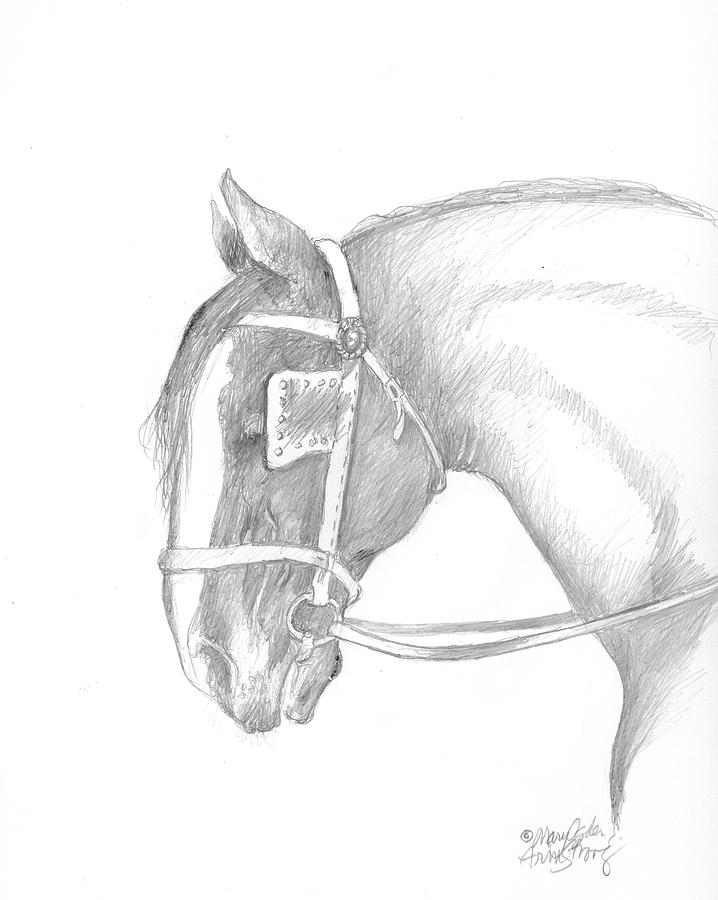 Horse Drawing - Old sleepy head by Mary Armstrong