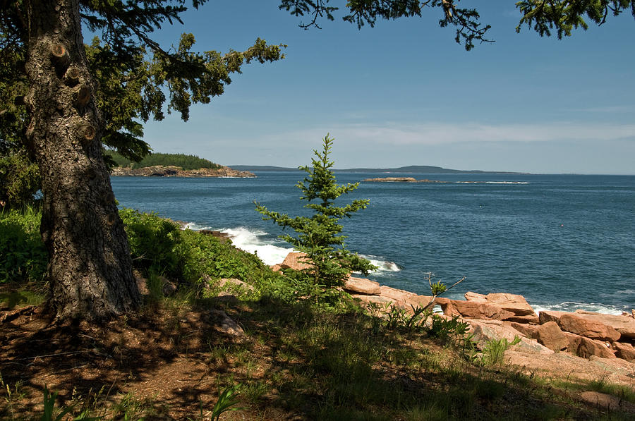 Old Soak Er In The Distance Photograph By Paul Mangold