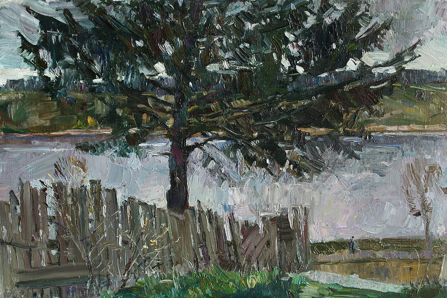 Old spruce on the Volga Painting by Juliya Zhukova
