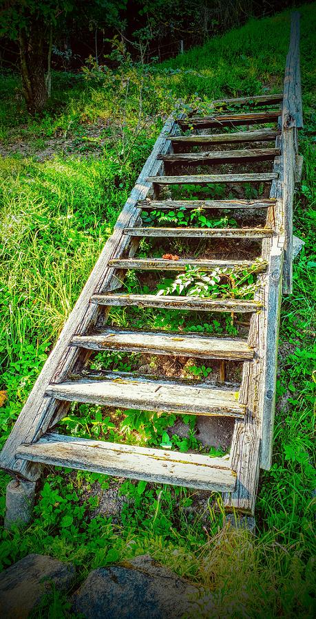 Old stairs to the hill Photograph by Edvinas Ivanauskas - Fine Art America