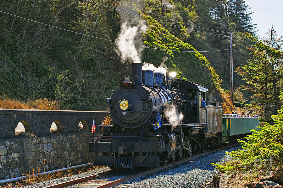 Old Steam Engine No.25 Photograph by Randy Harris