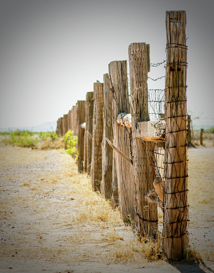 Old Stockyard Fence Photograph by SR Green