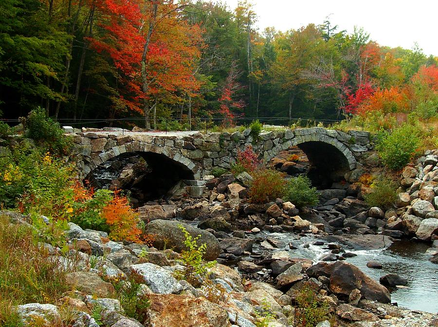 Old Stone Bridge in Fall Photograph by Lois Lepisto