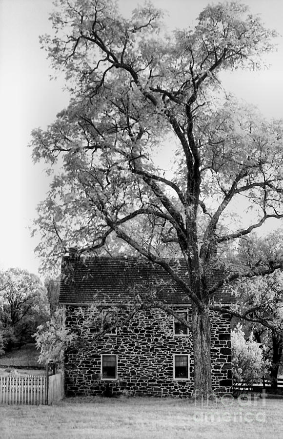 Old Stone House Photograph by Richard Rizzo
